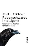 Image de Rabenschwarze Intelligenz: Was wir von Krähen lernen können