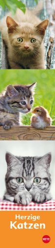 Katzen long - Herzige Katzen 2015