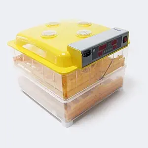 TM&W- All hatchibily Fully Automatic Incubator 112 Eggs | Mini Incubator