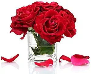 Eagle Global Crystal Square Flower Glass Vase (Clear, 4 X 4 X 4 Inch) Thickness 6 mm