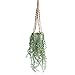 Produktbild Homescapes Hängende Künstliche Pflanzen Erbsenpflanze in Zellstoff Topf, 85 cm