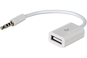 ‎AKYGA AKYGA AK-AD-24 Kabel Adapter Mini Jack 3.5 auf USB-Buchse weiß