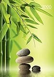 Lady-Timer Zen 2020: Buchkalender - Terminplaner. 1 Woche 4 Seiten. Format: 11 x 15,3 cm by 