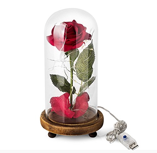 arekeke Rosa Bella y Bestia, La Bella y la Bestia Rose Kit Completo y luz LED en cúpula de Cristal Sobre una Base de Madera para la decoración, Boda, Fiesta, cumpleaños, Aniversario