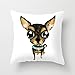 Produktbild alphadecor Kissen von slimmingpiggy Komfortable Betten Chihuahua mit Big Eyes 40,6 x 40,6 cm Kissen Fall, für Limo, Bench, Familie, Home Office, Outdoor, Erwachsene 40,6 x 40,6 cm/40 von 40 cm (zweimal Sid