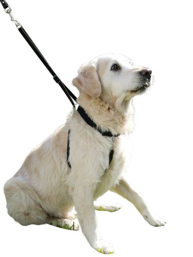 Kerbl MAXI LEADER Arnés de adiestramiento talla 2, negro