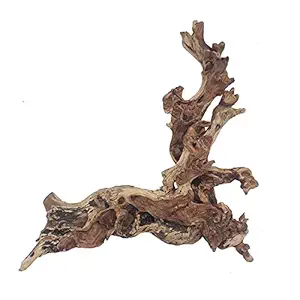 Hamiledyi Driftwood for Aquarium Wood Natural Trunk Reptile Branches Tree Fish Tank Plant Stump Ornament Decor(L: 7.5