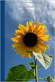 Wenn eine Blume nicht blüht, ändere ihre Umgebung, und nicht die Blume