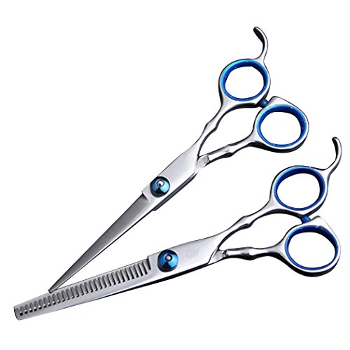 Saebye Professional Dual Haircutting Scissors 6 inch Sharp Blades Barber Shears Thinning Hair Cut Scissors Set