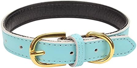 Pingxia Classic Padded Pet Collars Handmade for Puppy Small Medium Dogs with The Finest Genuine Leather(L / Blue)