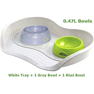 Cat Dog 1Kiwi + 1grau Schüssel 0.47L + Schacht 3Farben Lebensmittel Wasser Gericht Füttern Kätzchen Bone Pet Animal