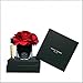Produktbild Herve Gambs Raumduft Diffusor Couture Blume Red Rose und Raumspray Encens Nobilis
