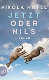 Bücher Neuerscheinungen 2022 - Jetzt oder Nils: Roman von Nikola Hotel