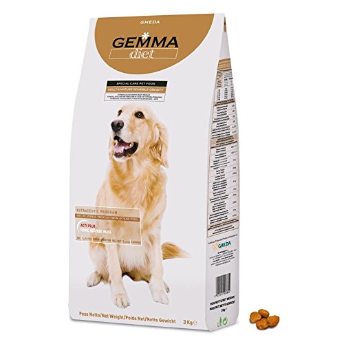 O Curtsingertrailers Net