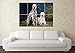 Produktbild Große Dalmatiner Hund Crufts Hundehütte Pedigree Wand Poster Kunstdruck Bild