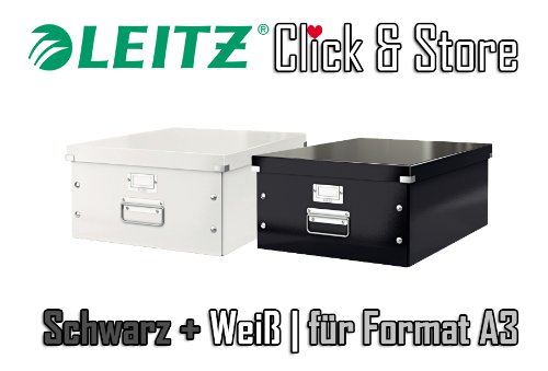 Preisvergleich Produktbild LEITZ Archivboxen