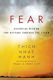 Image de Fear: Essential Wisdom for Getting Through the Storm