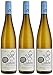 Produktbild Ewald Gruber Grüner Veltliner Weinviertel DAC 2017 trocken (3 x 0.75 l)