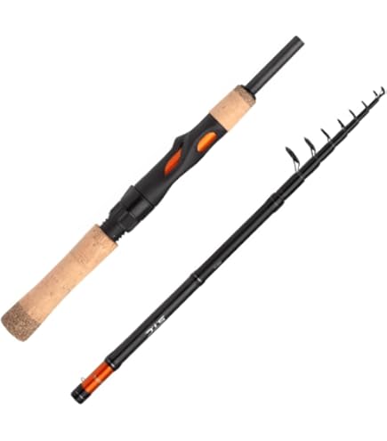 Shimano Exage BX STC Spinning 300 XH, 3.00 meter, 50-100 gram