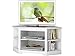 Produktbild Hifi TV Bank Lowboard Fernsehschrank Eck Fernsehtisch Kiefer massiv weiß Landhaus
