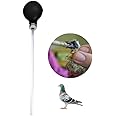 Rai Pigeon Supplies Pet Pigeon Feeding Pump (1 Piece) |