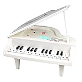 Fajiabao Best Birthday Gift Electronic 14 Keys Little Educational Piano Music Keyboard Game Toy Set with Light and Song for Children Boys Girls Kids Musical Early Learning
