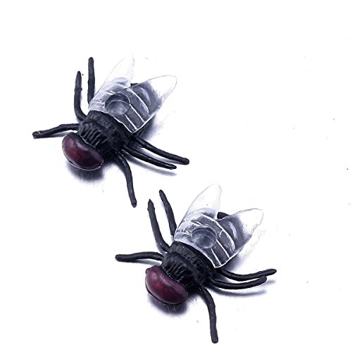 German Trendseller® – 24 x Stuben Fliege ┃ Horror ┃ Dekoration ┃ Halloween ┃ Scherzartikel ┃ 24 Stück - 3