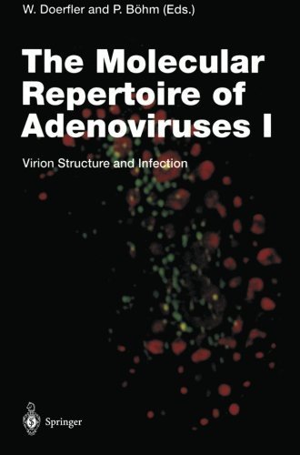 The Molecular Repertoire of Adenoviruses I: Virion Structure and Infection (Current Topics in Microbiology and Immunology) (1995-01-01) francais The Molecular Repertoire of Adenoviruses I: Virion Structure and Infection (Current Topics in Microbiology and Immunology) (1995-01-01) francais