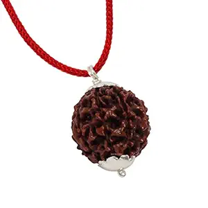 Astrodidi 9 Mukhi Rudraksha with Lab Certificate