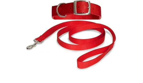 Red colour belt Clearance