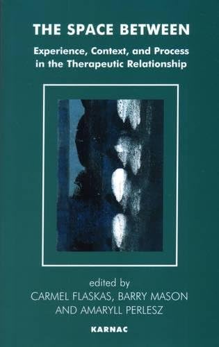 The Space Between: Experience, Context, and Process in the Therapeutic Relationship (The Systemic Thinking and Practice Series)