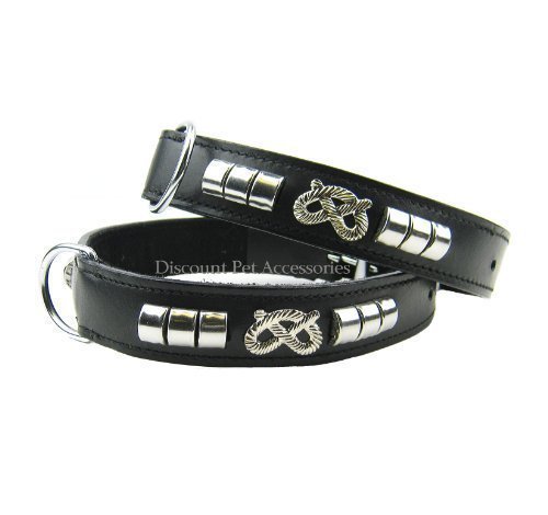 discount pet accessories