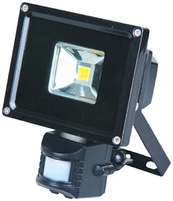 amazon pir floodlight