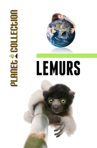Download Lemurs: Picture Book (Educational Children's Books Collection) - Level 2 (Planet Collection 51) Download Lemurs: Picture Book (Educational Children's Books Collection) - Level 2 (Planet Collection 51)