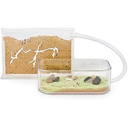AntHouse - Fourmilière Naturelle en Sable - Kit Basic (Sandwich + Caisse de Fourrage) (Fourmis Gratuites)