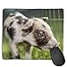 Produktbild Mouse Pad Cute Pig Baby Art Rectangle Rubber Mousepad 8.66 X 7.09 Inch Gaming Mouse Pad with Black Lock Edge