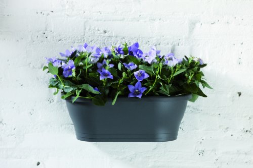 elho Corsica Wandampel 39cm – Anthrazit - 5