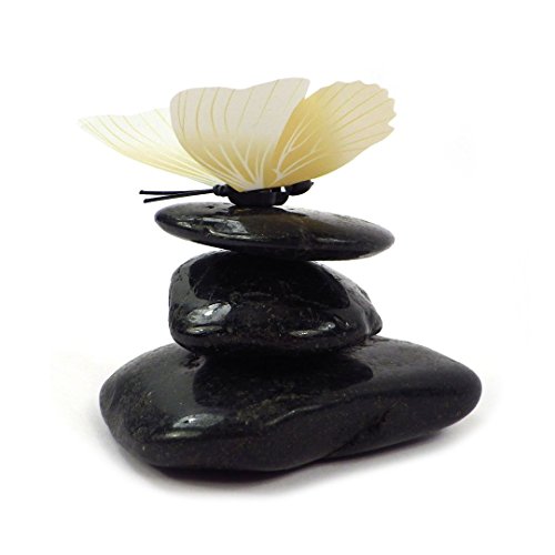 Deko Dekosteine Natursteine Tischdeko Tischdekoration Steine Streudeko Ziersteine schwarz (Schwarz Groß 4-8cm ) - 6