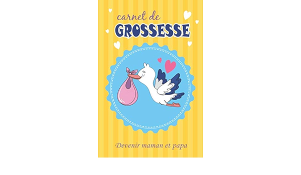 Carnet De Grossesse Devenir Maman Et Papa Carnet A Completer Pour Enregistrer Vos Meilleurs Souvenirs Avec Bebe Cadeau Pour Papa Maman 1 Pages Format 15 24 X 22 86 Cm Francais