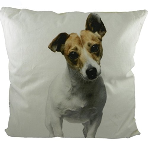 Kissen - Dekokissen Jack Russell - Hund ca 50 x 50 cm