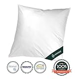 VOYAL LINNEN Wiener WOLKENPOLSTER/Premium Federkissen / 80 x 80 cm/zertifizierte Füllung/atmungsaktiv/für Hausstaballergiker geeignet VOYAL LINNEN Wiener WOLKENPOLSTER/Premium Federkissen / 80 x 80 cm/zertifizierte Füllung/atmungsaktiv/für Hausstaballergiker geeignet