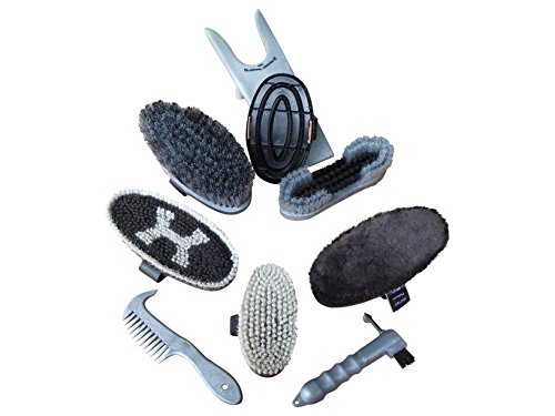 Preisvergleich Produktbild Haas Premium Putzset edel funktional Lammfell- Roßhaarkardätsche Striegel u.m.
