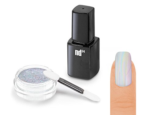 Nailart STARTER SET - UNICORN HOLOGRAMM Pigment Puder + ZUBEHÖR - Holographic Effekt Powder - Nail Glitzer Glitter Pulver HOLO Metallic - Nail Dekoration Nagelkunst Naildesign