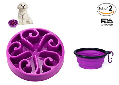Motionjoy® 8.1 pulgadas Anti-tragando Cuenco con Comedero para Mascotas Bebedero Portatil de Viaje Plegable Cuenco del Perro & gato - FDA Aprobado (Púrpura)