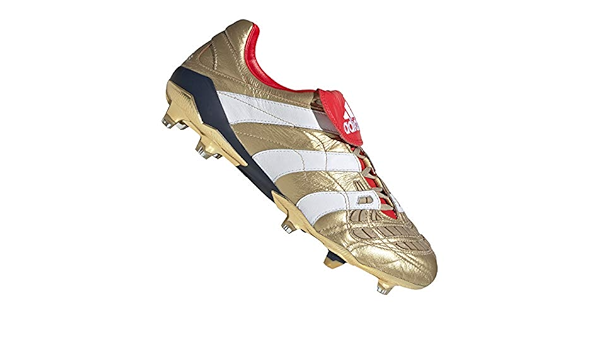 predator accelerator gold