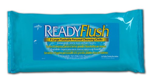 ReadyFlush Flushable Wet Wipes - 1 PK