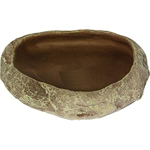 Reptiles Planet Repti Dish Dekostein für Reptilien