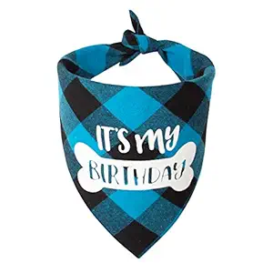 Dog Birthday Boy Bandana