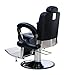 Hair Furniture Adonis Confident, Barber, Chair, Salon,Styling Chair, Barbers Chair