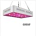 Produktbild J.Memi Grow LED Pflanzenlampe 600W Pflanzenleucht Zimmerpflanzen Lampe Wachstumslampe Optical Lens-Series Dual Chips Ganze Spektrum UV IR Licht Für Indoor Gemüse Growth Sämling Wachstum